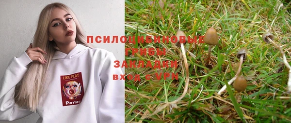 прущие крисы Заволжск