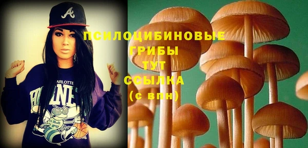 прущие крисы Заволжск