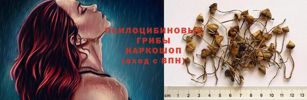 кокаин перу Заводоуковск