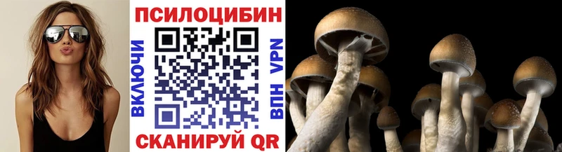 Купить  Реж  Галлюциногенные грибы мухоморы 